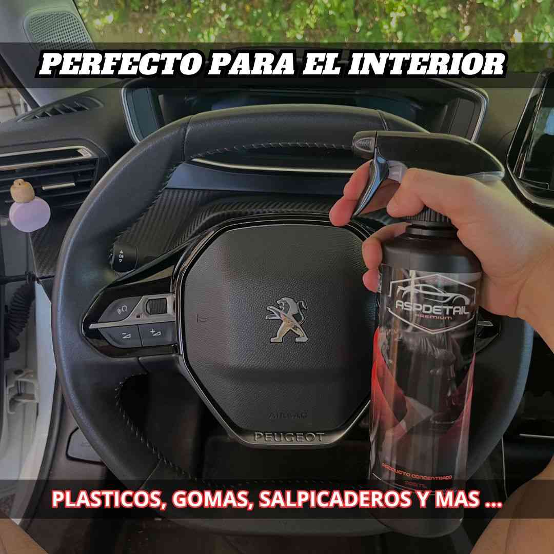 INTERIOR CLEANER - ASPDetail